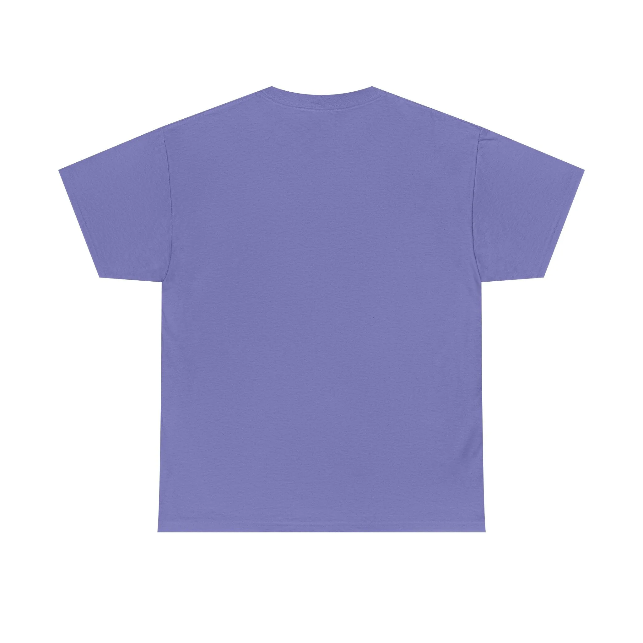 Baseball All Day Everyday Unisex Heavy Cotton Tee