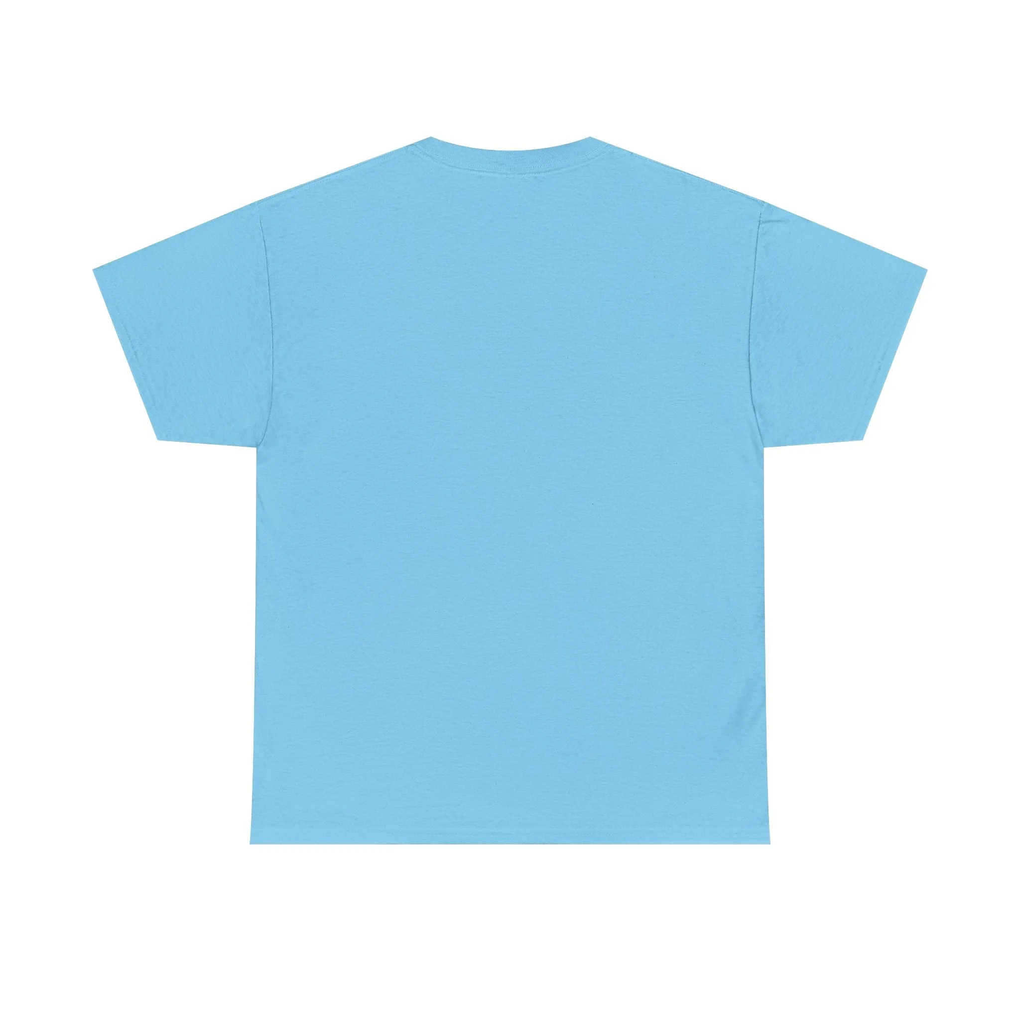 Baseball All Day Everyday Unisex Heavy Cotton Tee