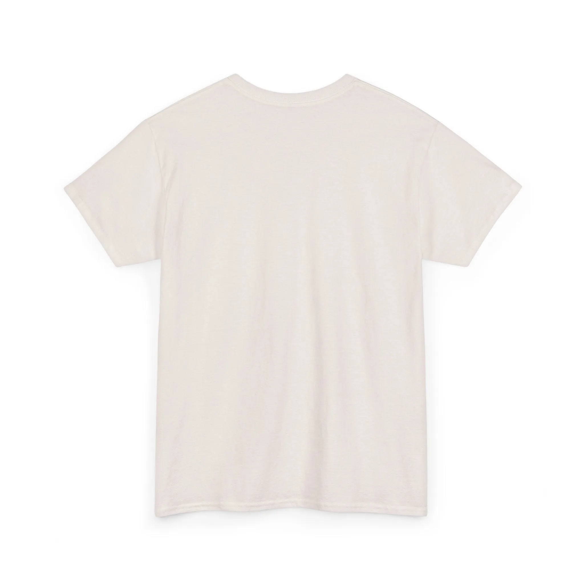 Baseball All Day Everyday Unisex Heavy Cotton Tee