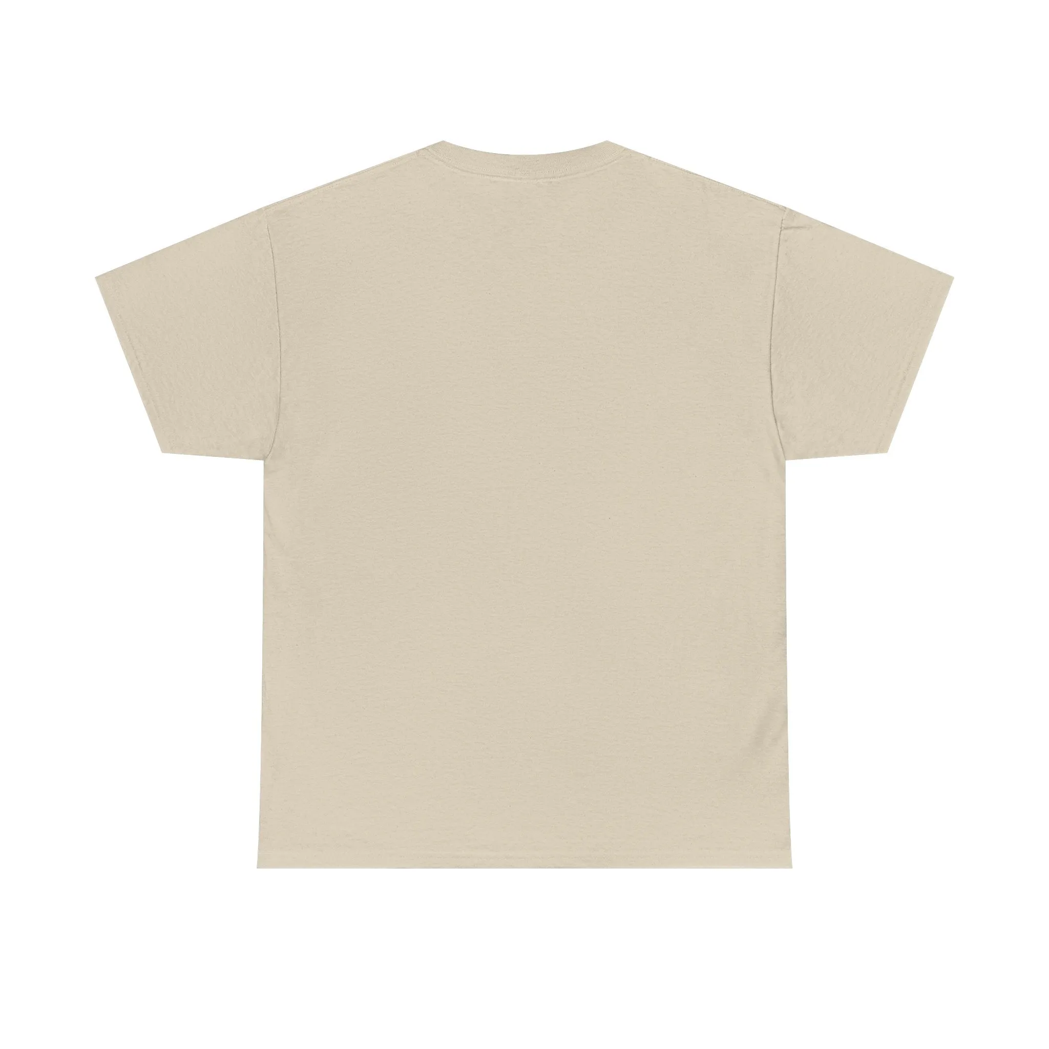 Baseball All Day Everyday Unisex Heavy Cotton Tee