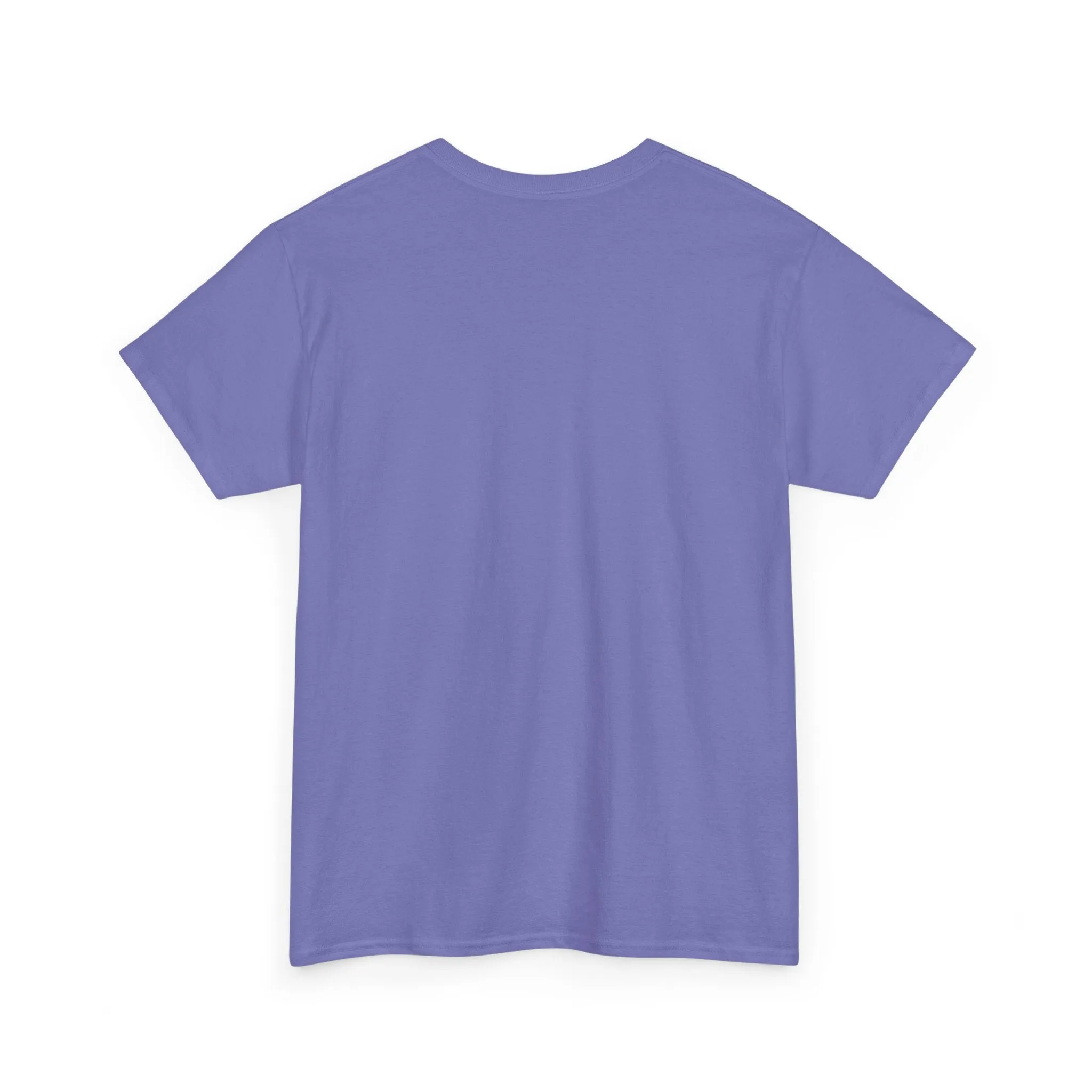 Baseball All Day Everyday Unisex Heavy Cotton Tee