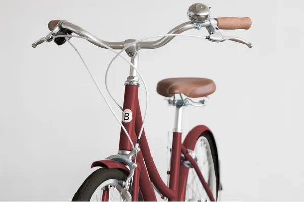 Birdie Lightweight Bike