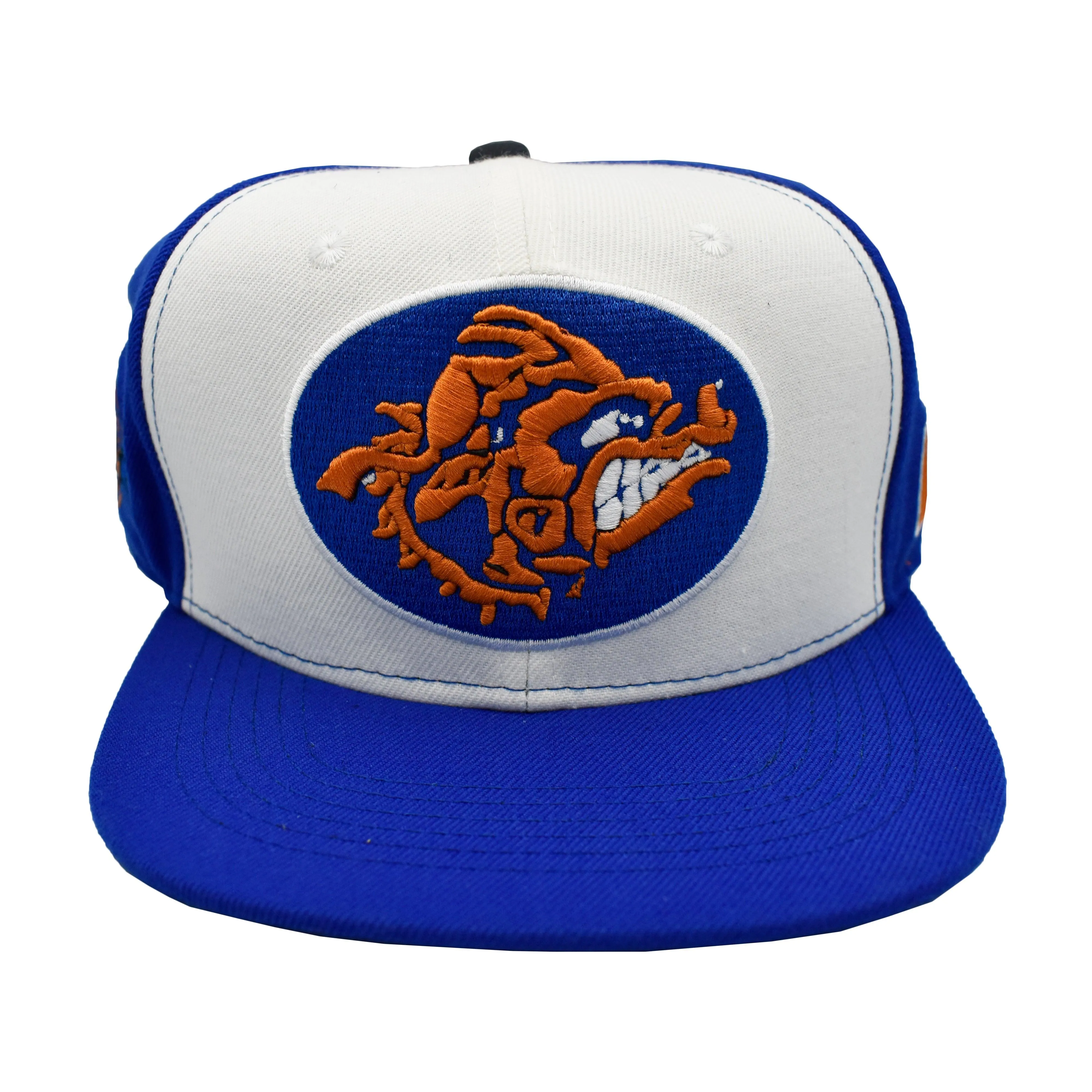 BLUE/WHAT WATER BOY SNAPBACK