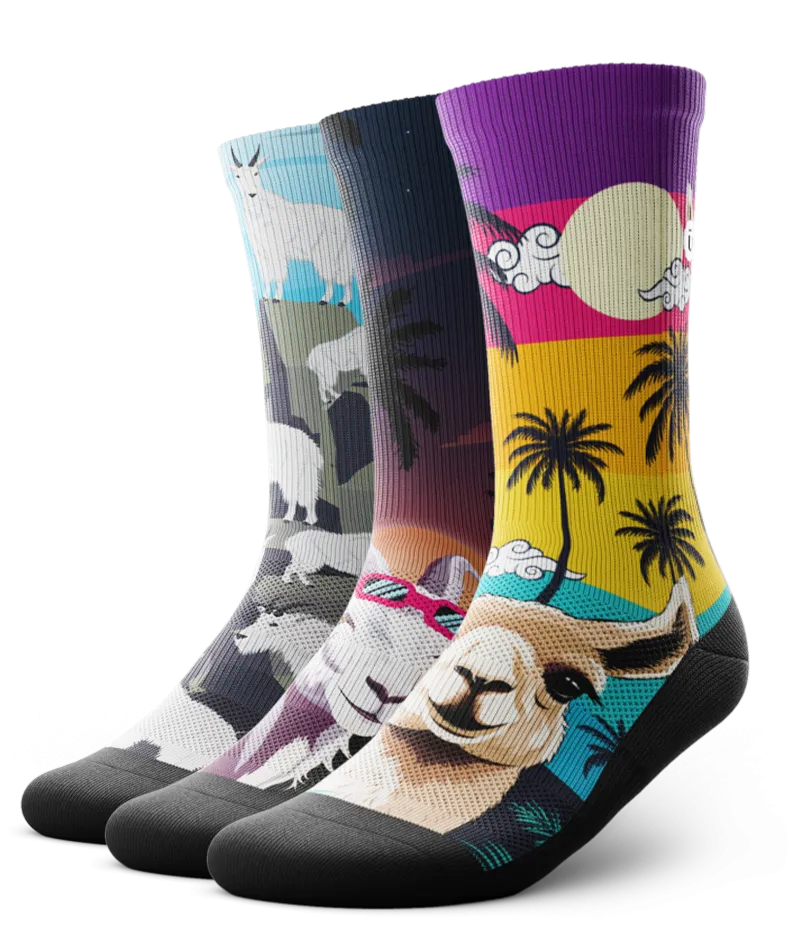 Chomper Champ Crew Socks 3-Pack