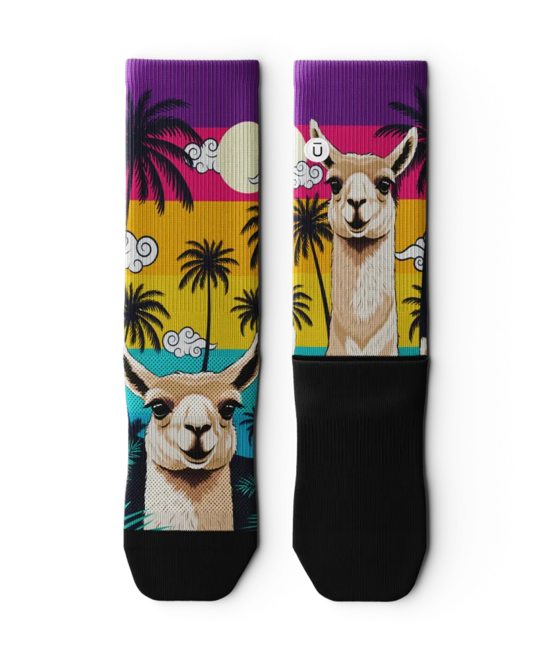 Chomper Champ Crew Socks 3-Pack