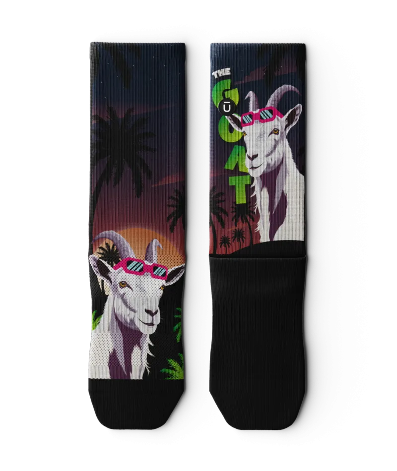 Chomper Champ Crew Socks 3-Pack