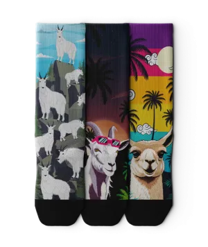 Chomper Champ Crew Socks 3-Pack