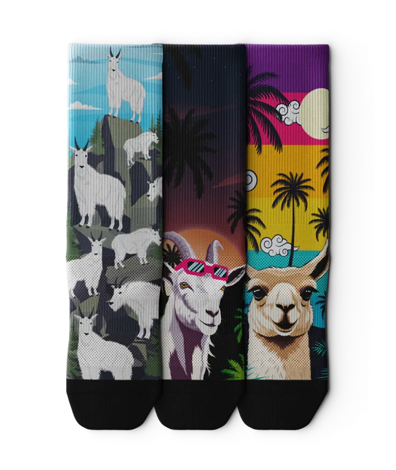 Chomper Champ Crew Socks 3-Pack