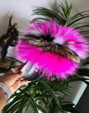 FUCHSIA BERRY