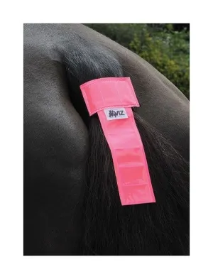 HyVIZ Tail Band