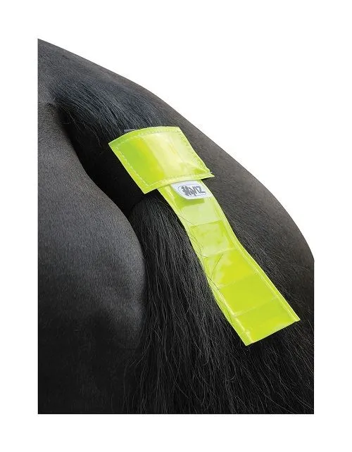HyVIZ Tail Band