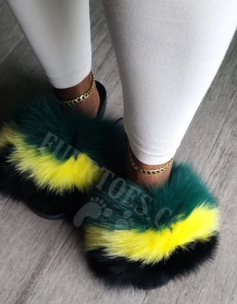 JAMAICA COLORS