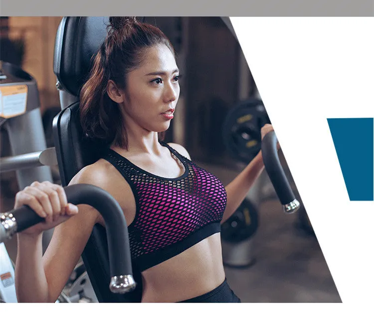 Mesh Net Sports Bra