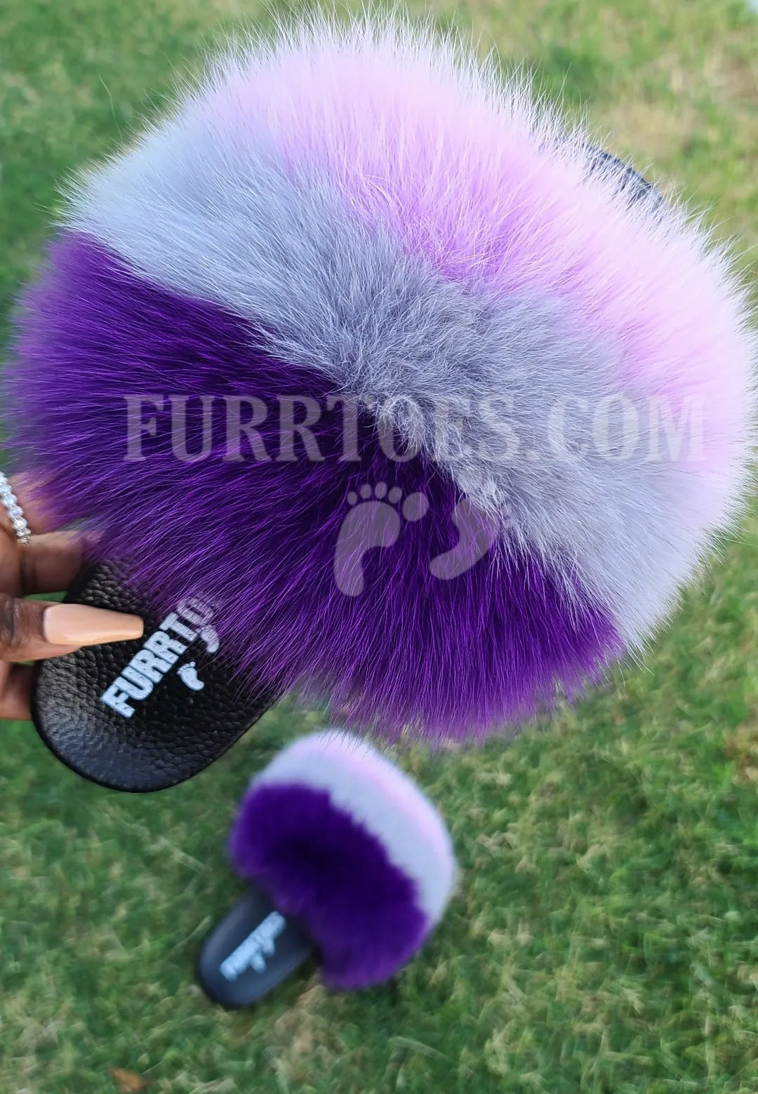 PURPLE LAYER