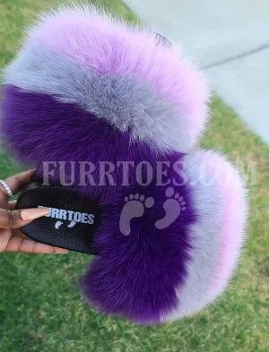 PURPLE LAYER