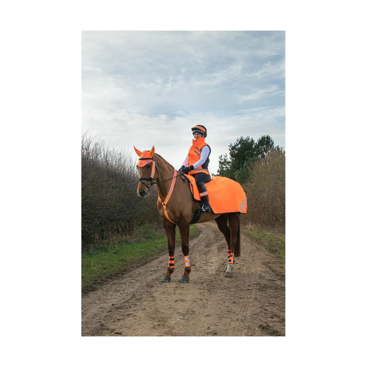 Reflector Arm/Leg Wraps by Hy Equestrian