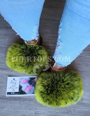 Yellow Frost Fluffy